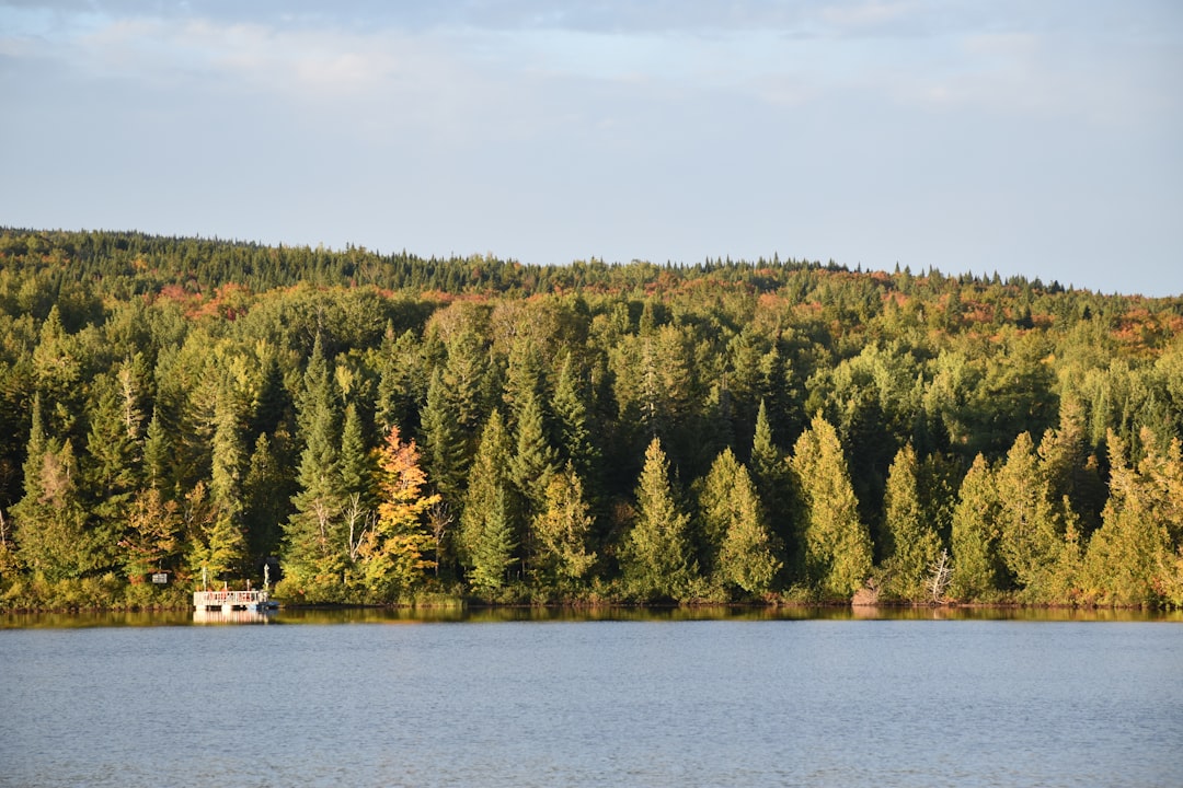 Paysage de Ristijärvi