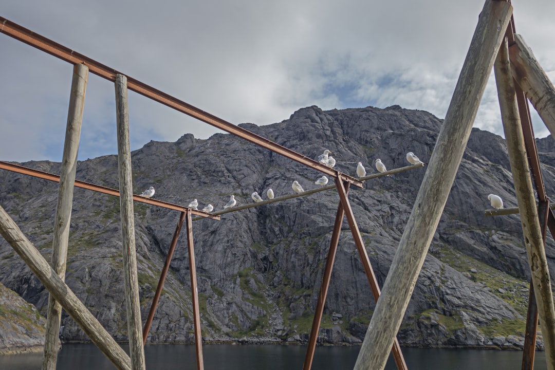 Vue de Ørsta