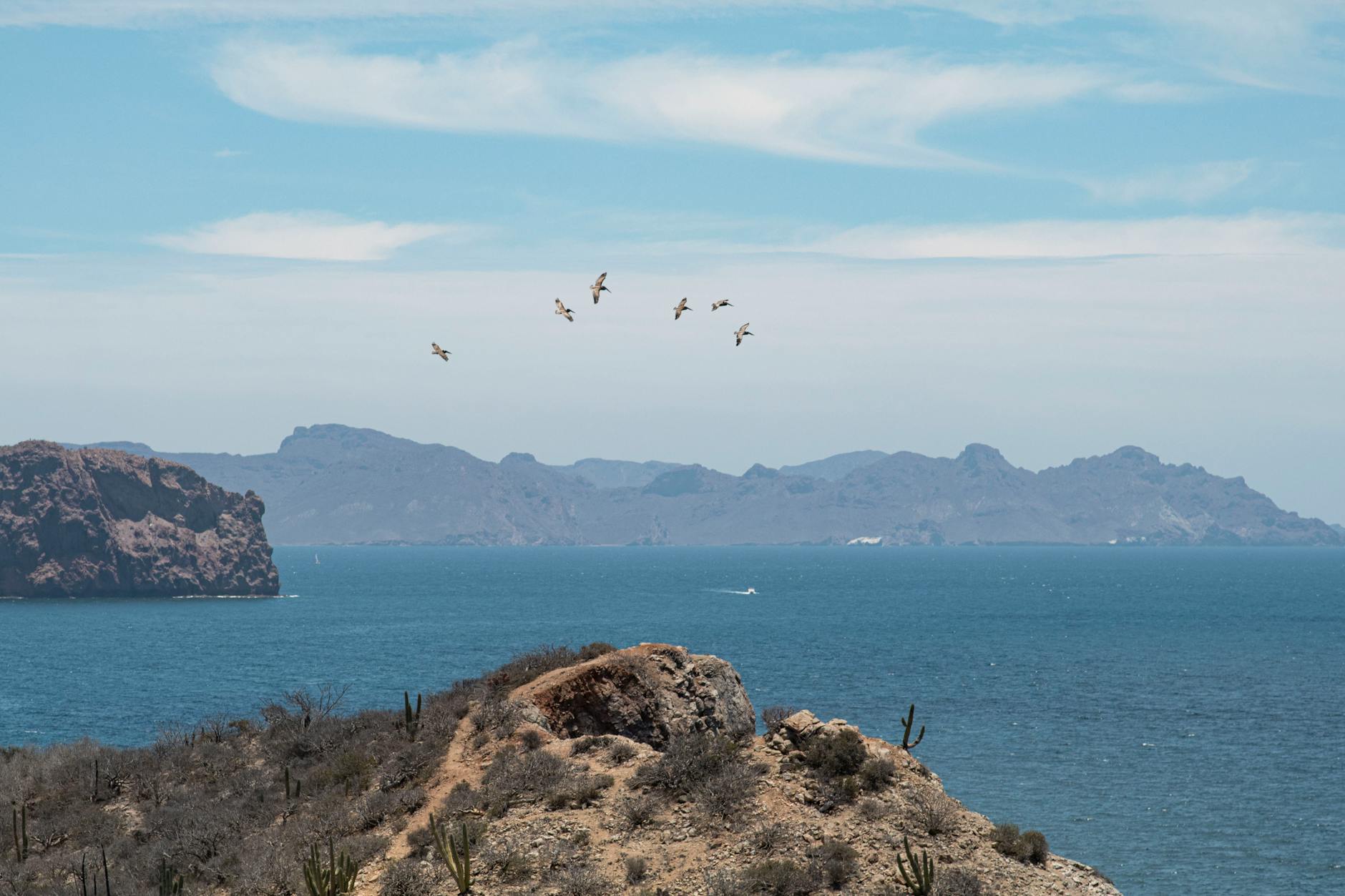 Paysage de San Carlos