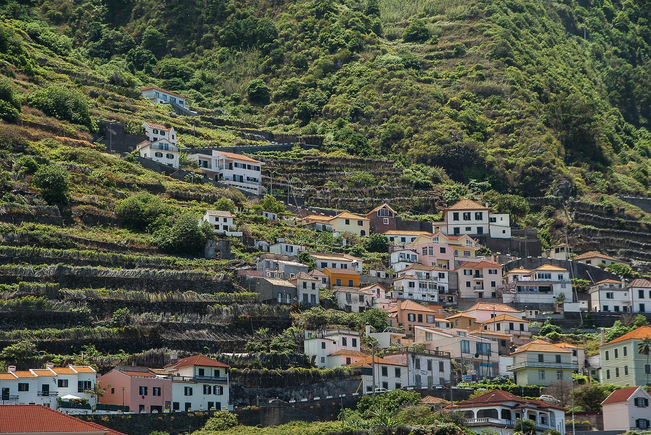 Paysage de São João da Madeira