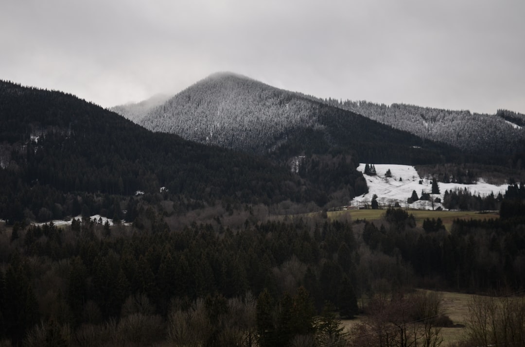 Vue de Škofljica