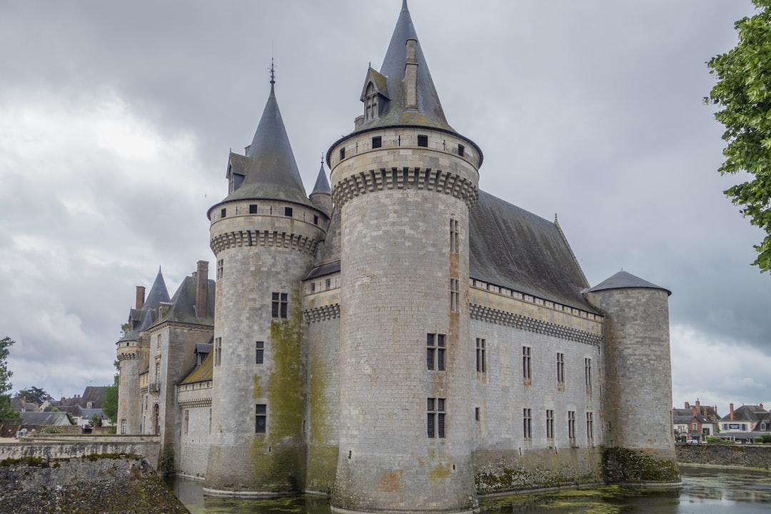 Vue de Sully Sur Loire